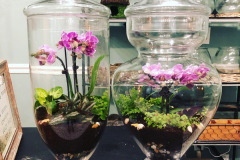 Orchid-jars
